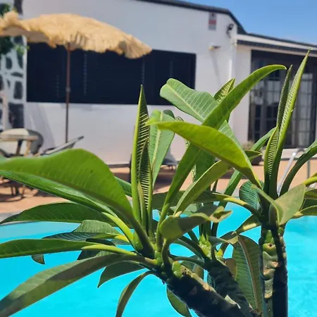 Boutique Boho Glam With Private Pool * プラヤ・ブランカ